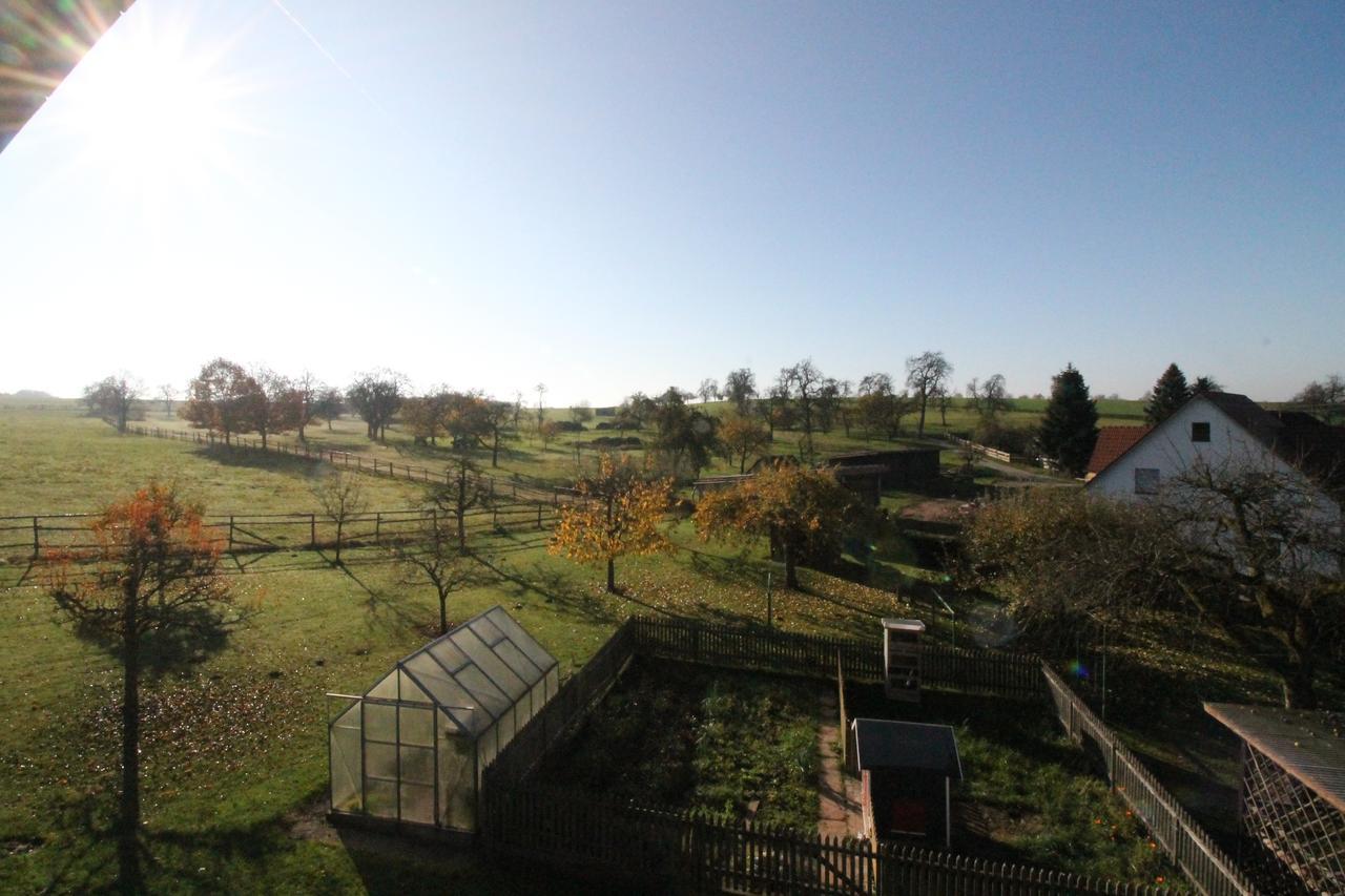 Gasthaus Und Ferienwohnungen Zum Engel Waldbrunn  Zimmer foto
